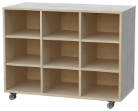 Materialschrank Schrankregal fahrbar 3-reihig