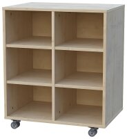 Materialschrank Schrankregal fahrbar 2-reihig