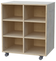 Materialschrank Schrankregal fahrbar 2-reihig